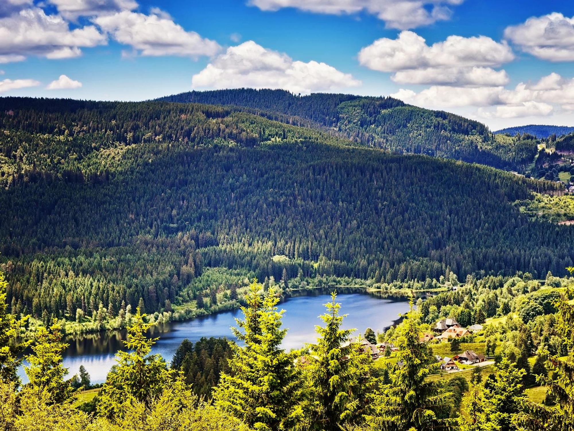 Black Forest Luxury Apartment Baerenhoehle Mit Sauna Schluchsee Bagian luar foto